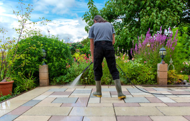 Animal Enclosure Cleaning in Day Valley, CA